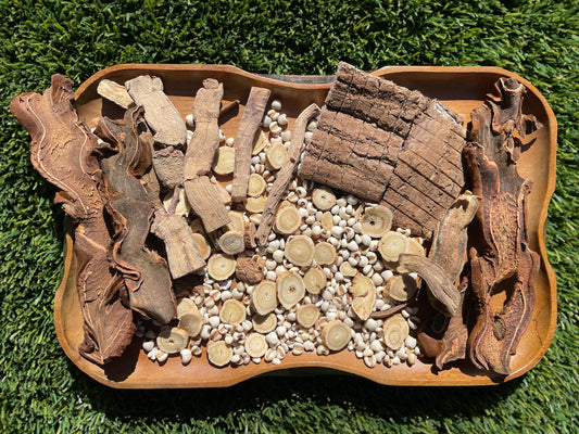 Bone & Kidney Strengthening Soup