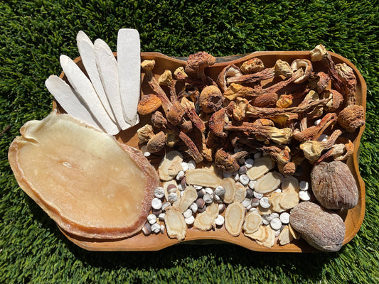 Brazilian Mushroom & Ginseng Conch Soup