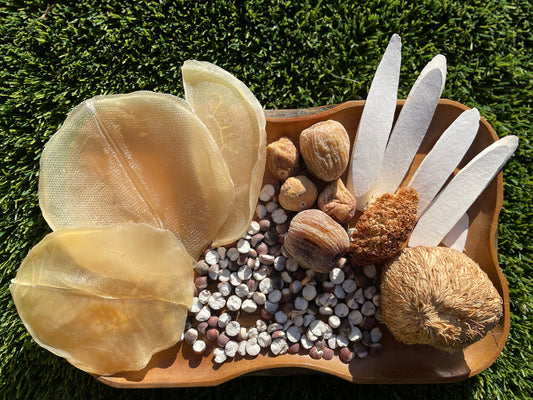 Monkey-Head Mushroom w/ Abalone Soup
